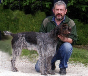 du Val de Geoffroy Tete Noire